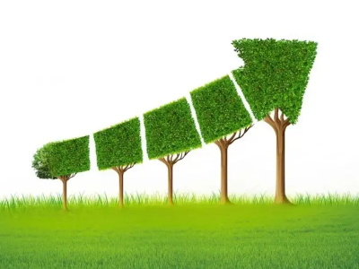 什么是碳邊境調(diào)節(jié)機(jī)制，對(duì)中國(guó)有哪些影響？